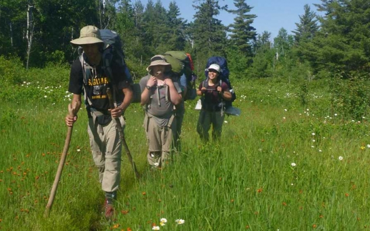 Three people wearing backpacks hike toward the camera through a grassy meadow. There are trees in the background. 